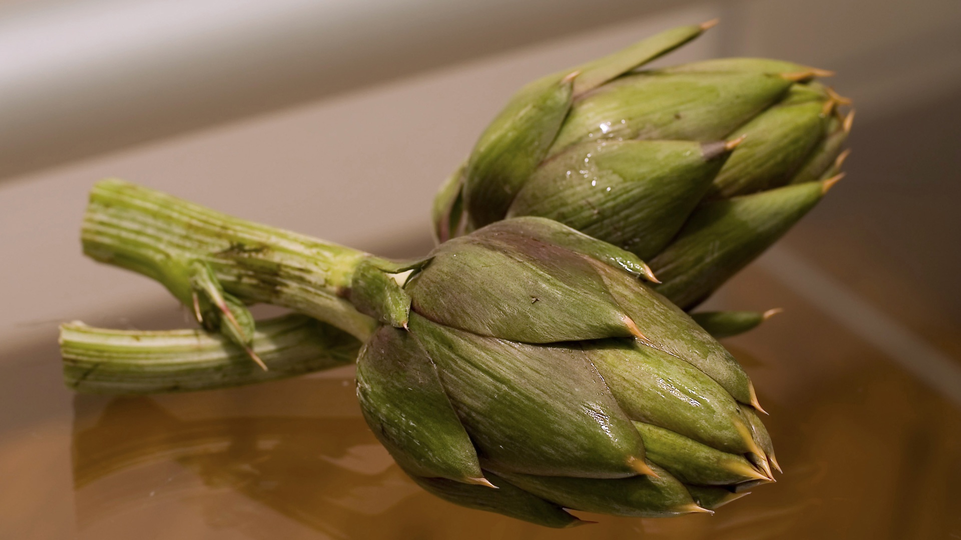 Carciofo spinoso di Sardegna