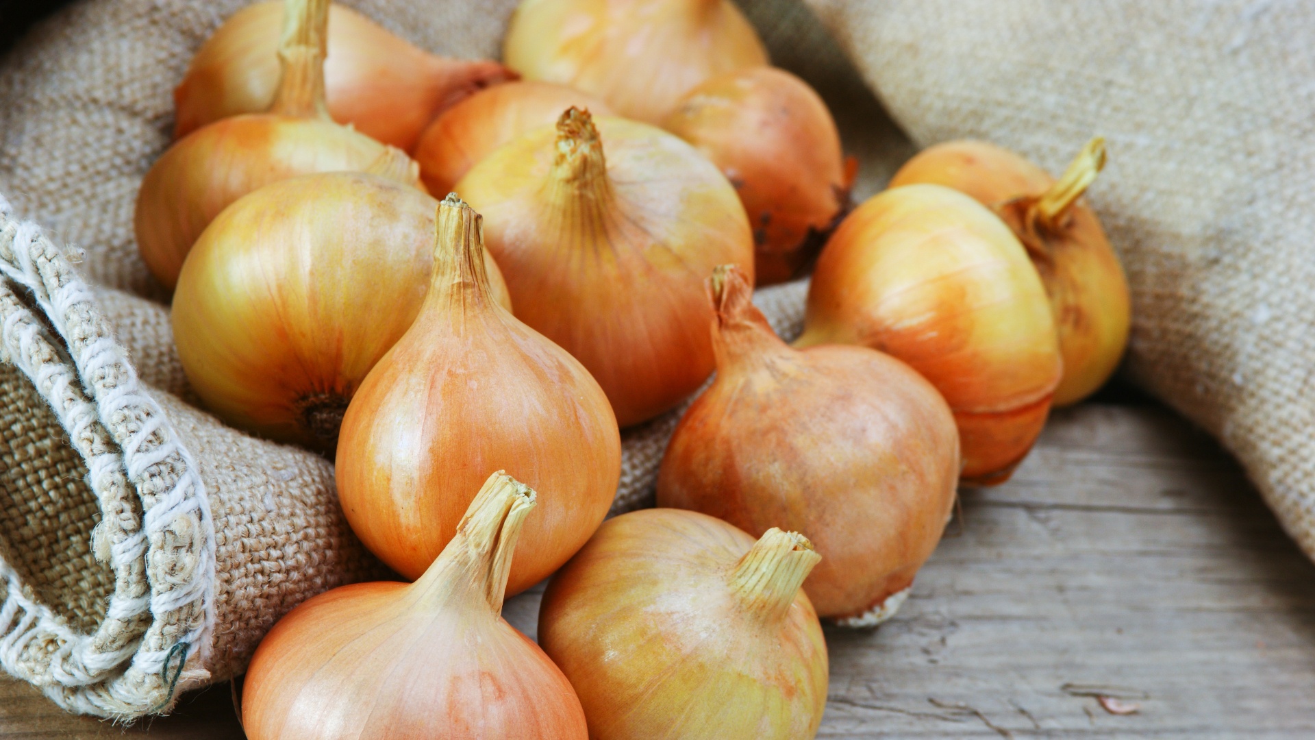 Cipolla di Ripola