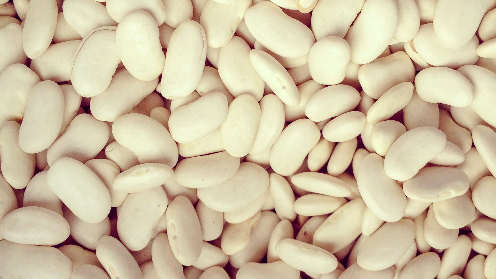 Garfagnina bean