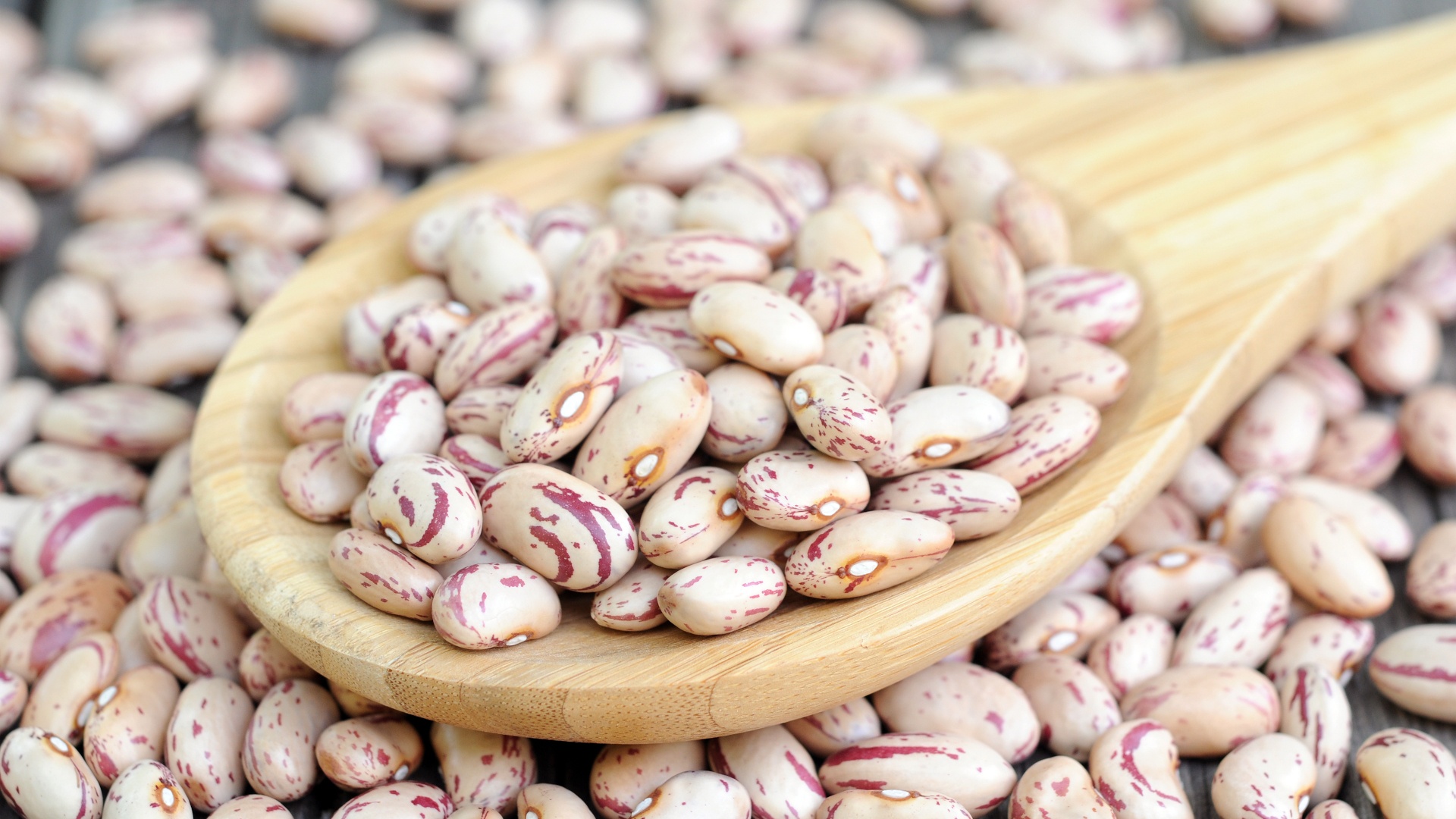 Maremma’s Borlotto Bean