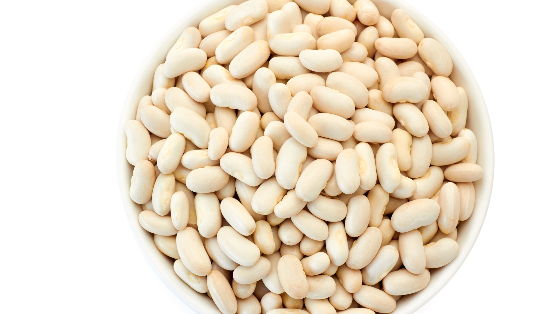 Cannellino bean