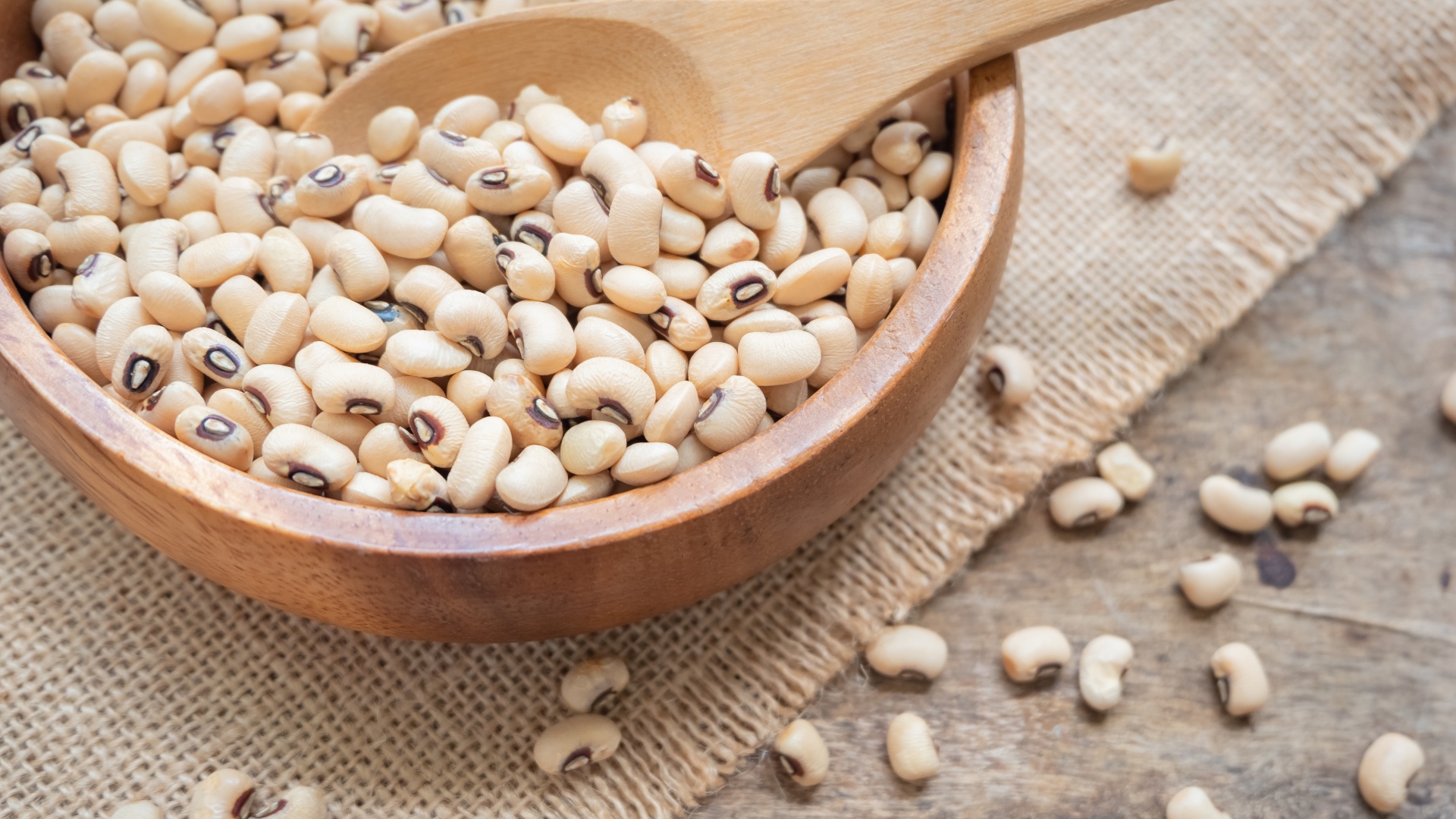 Bean from the eye of the Valdarno