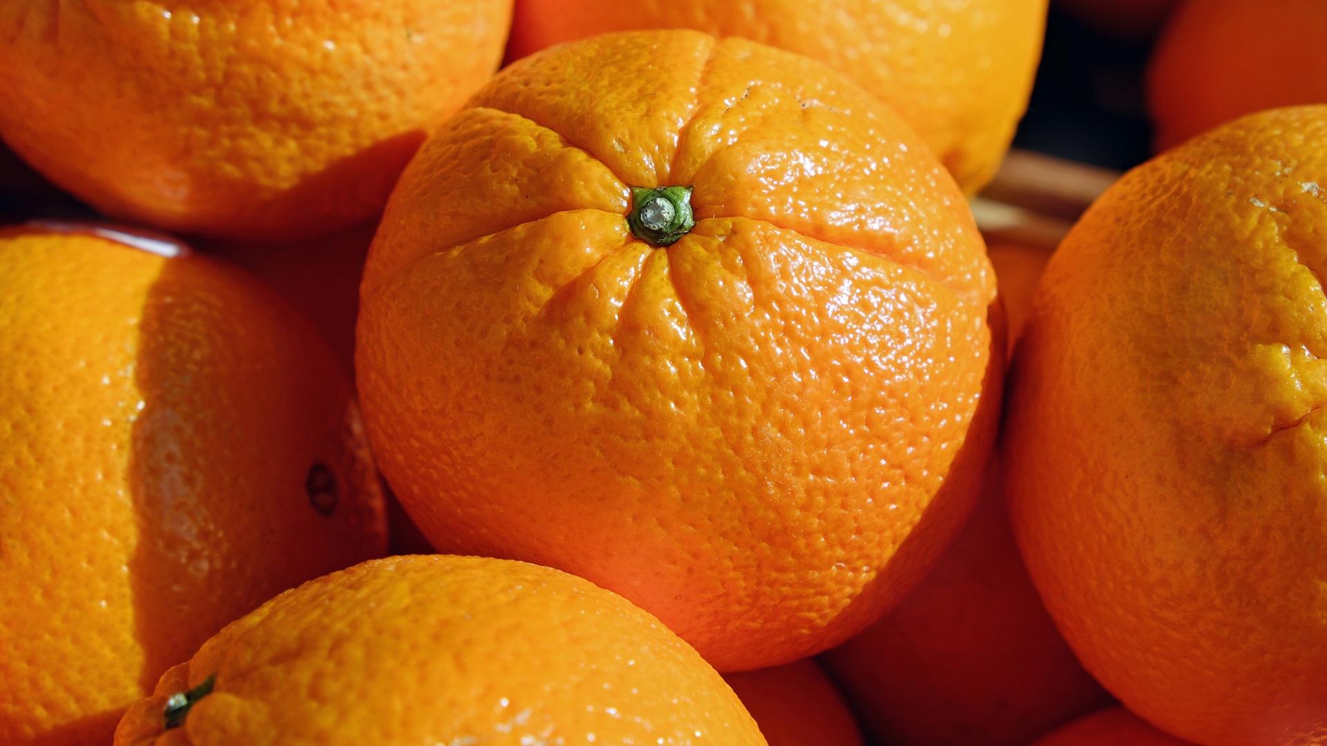 Arancio di Muravera