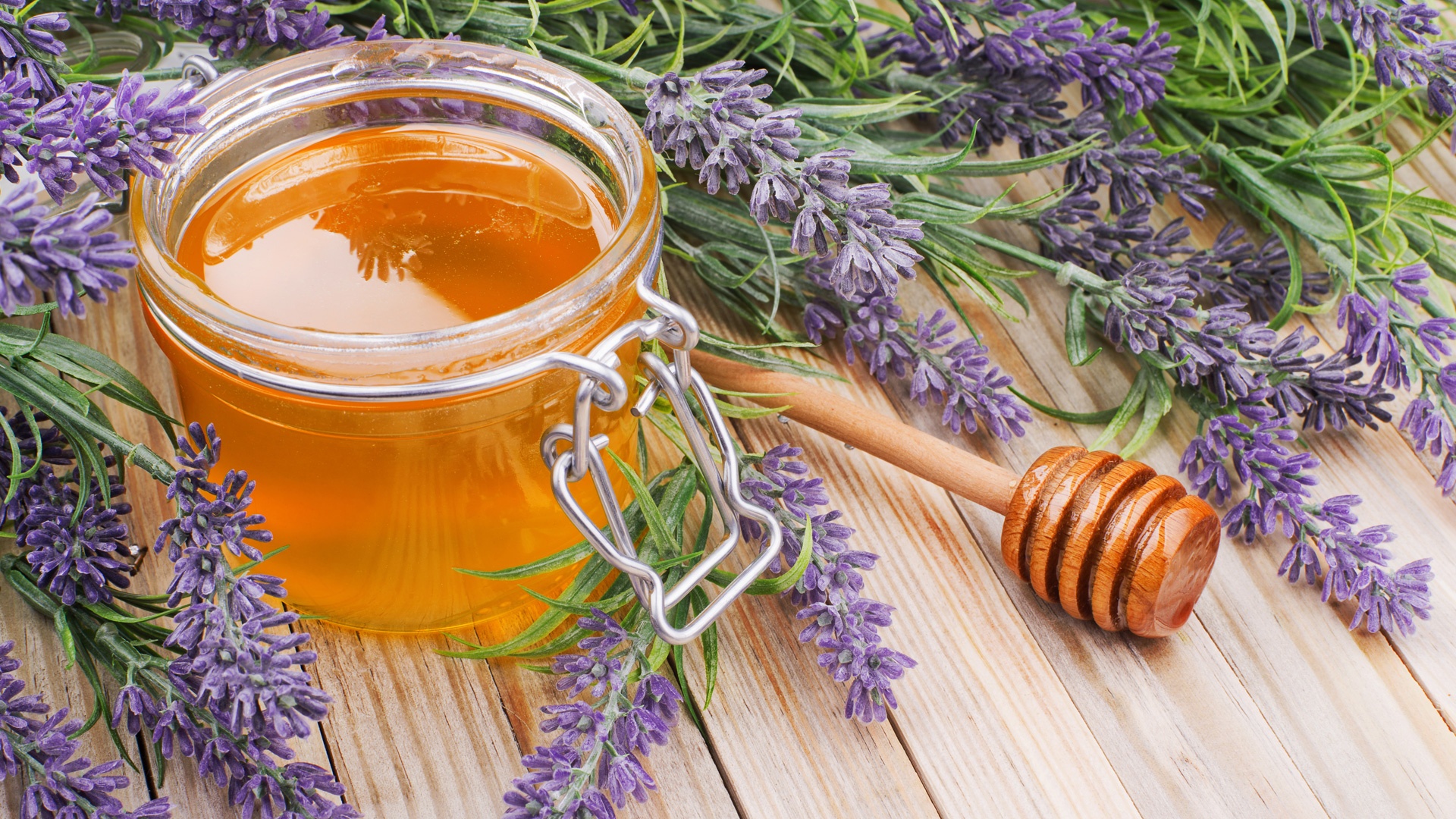 Miele di lavanda selvatica