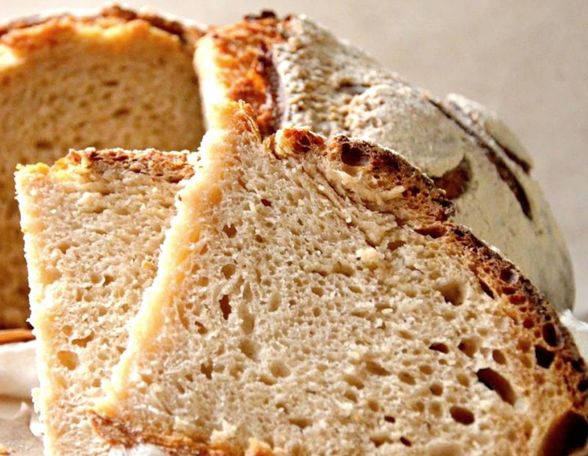 Pane ammodigadu