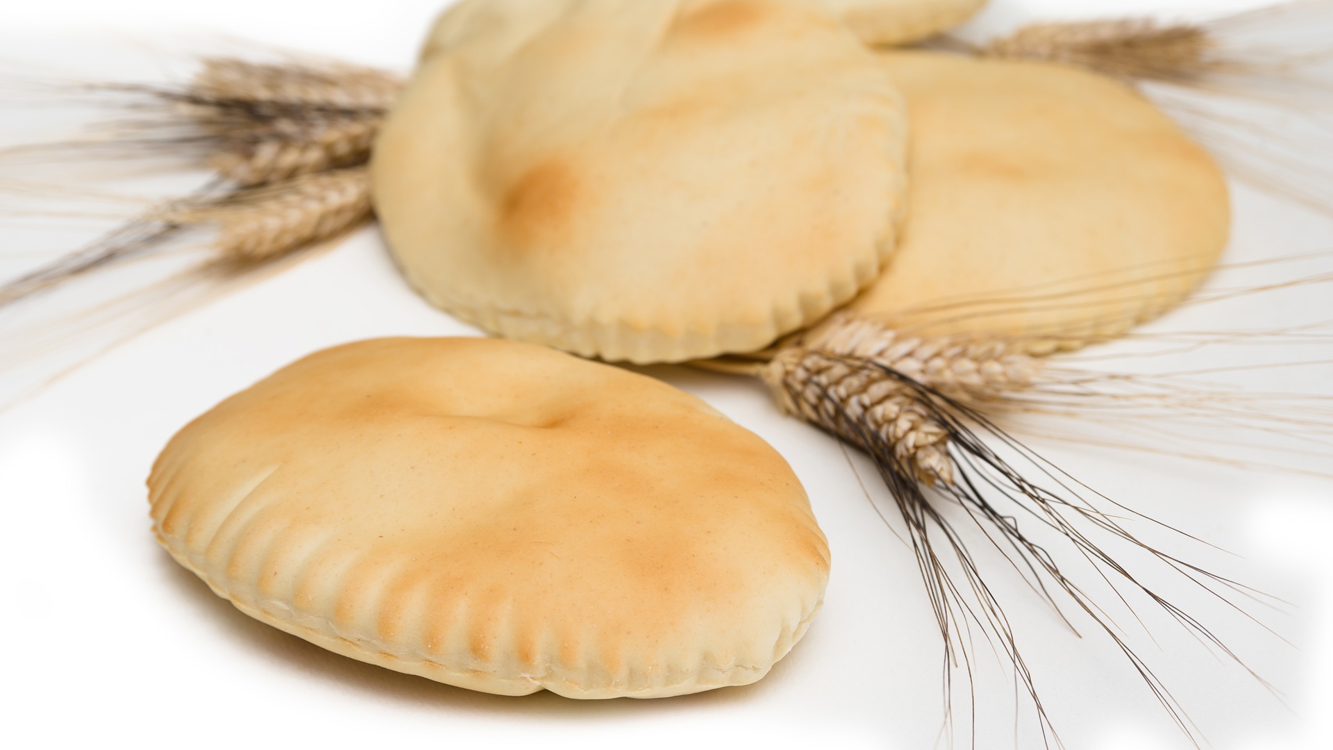 Pane Cicci