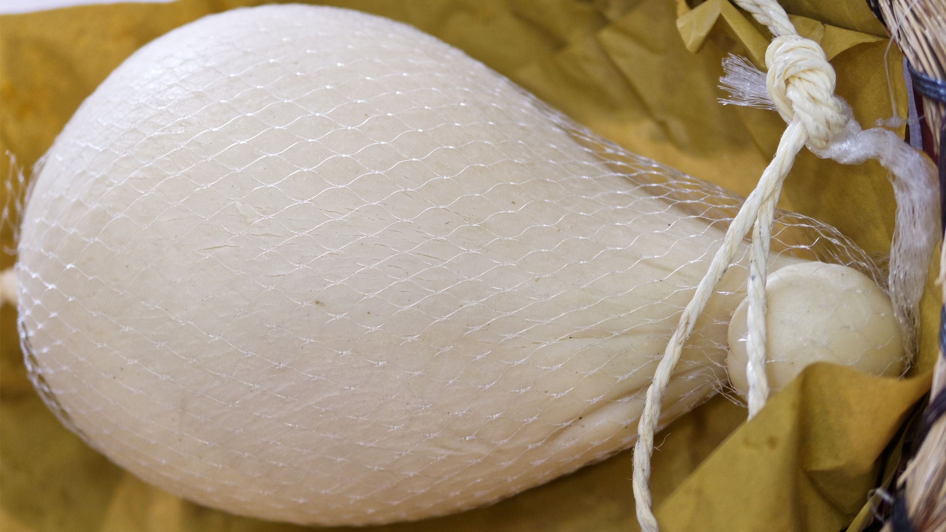 Provolone