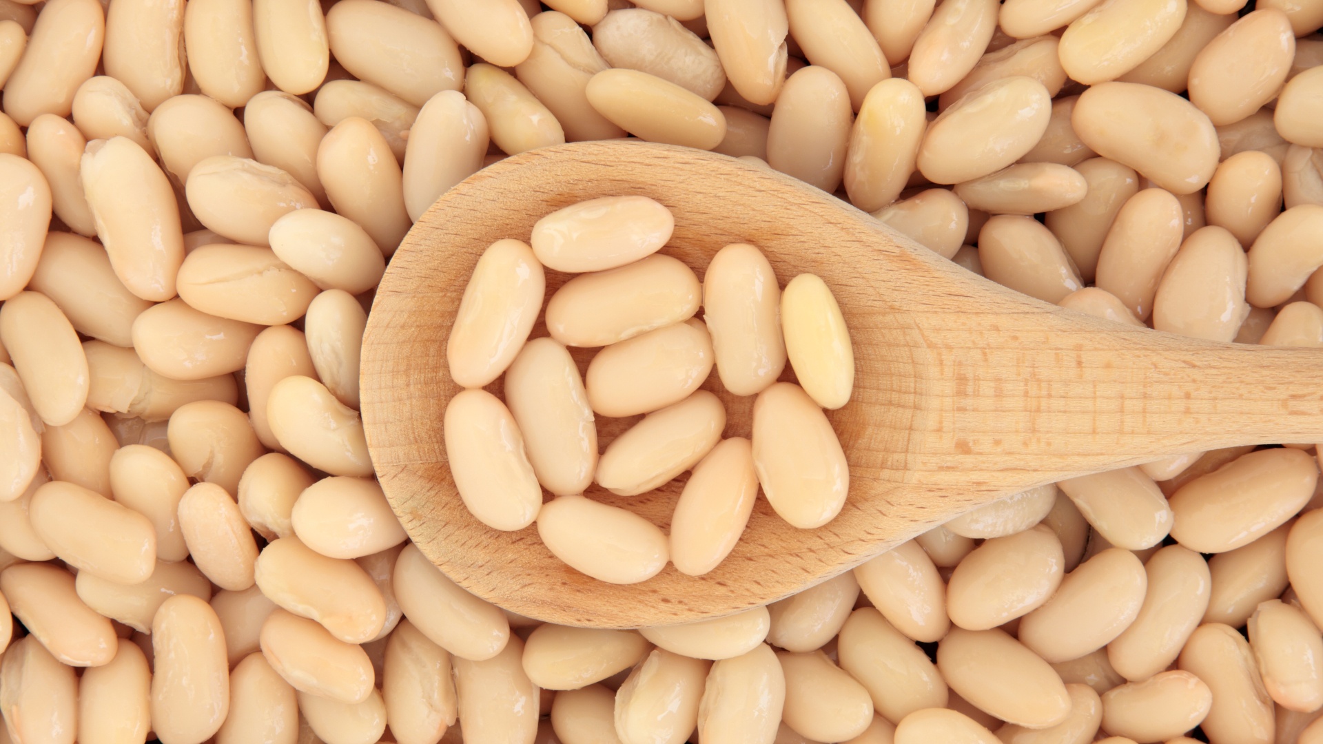 Sorano’s ciavattone bean