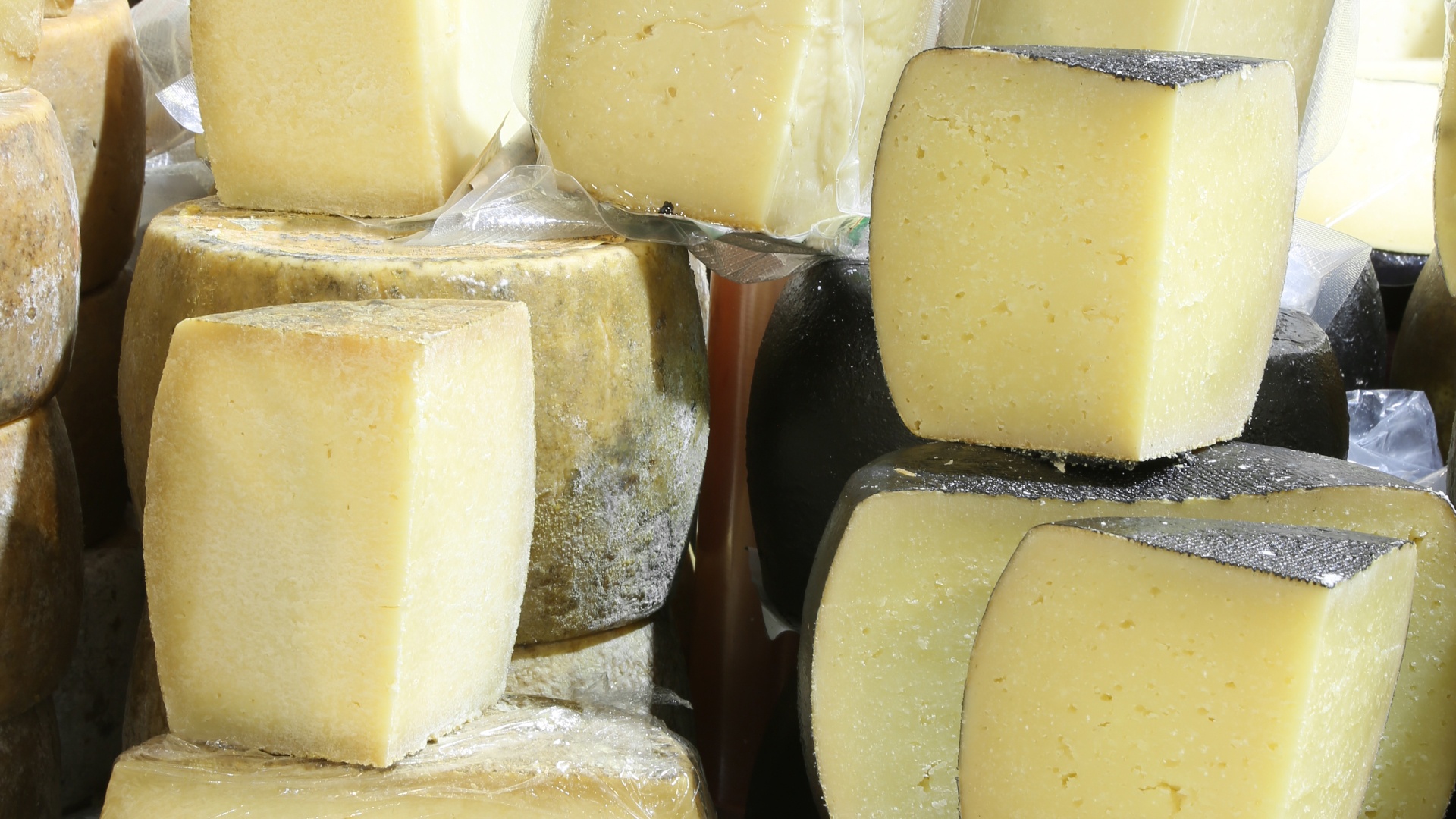 Pecorino of the Volterrane Balze
