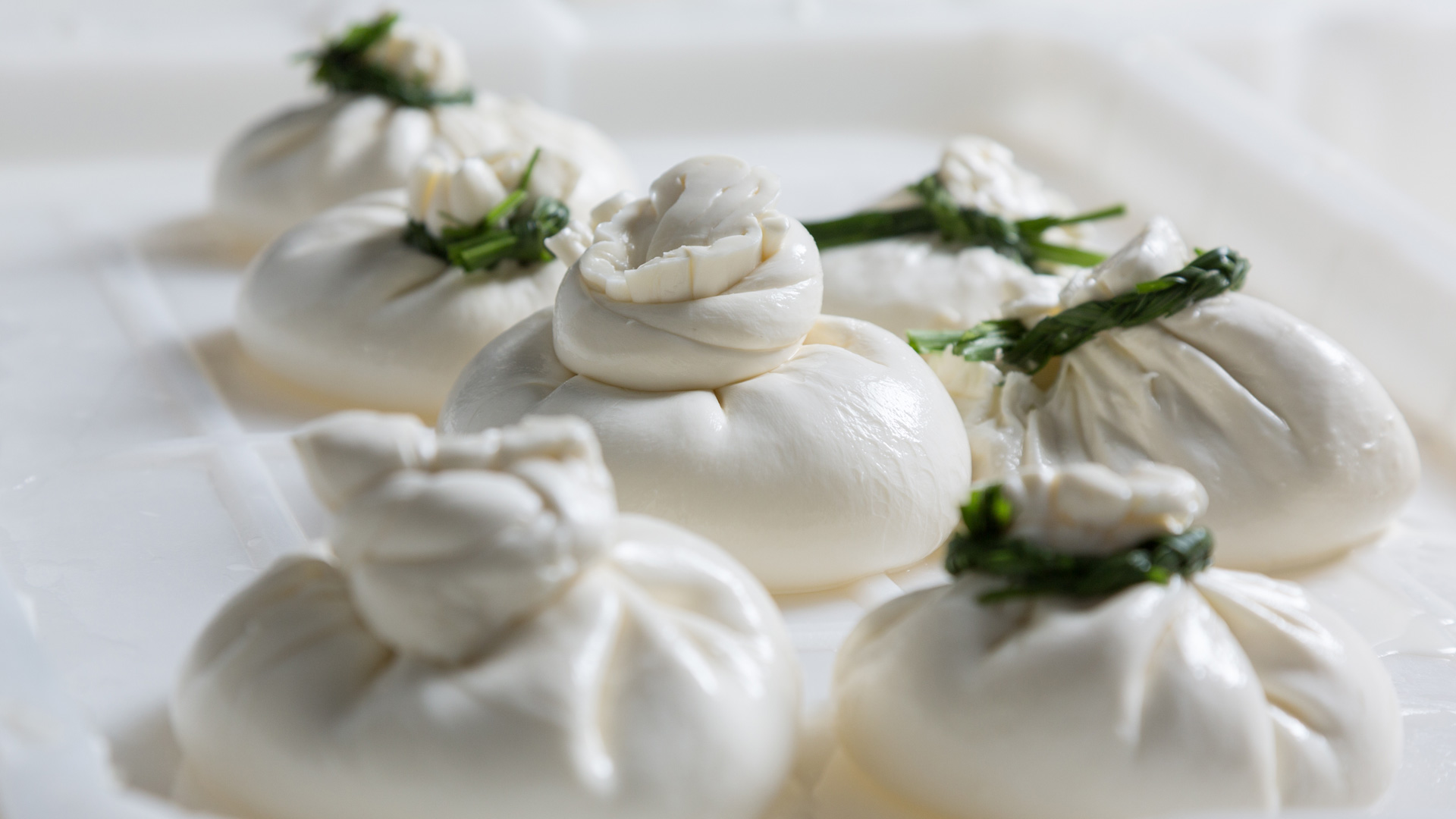 Burrata di Andria