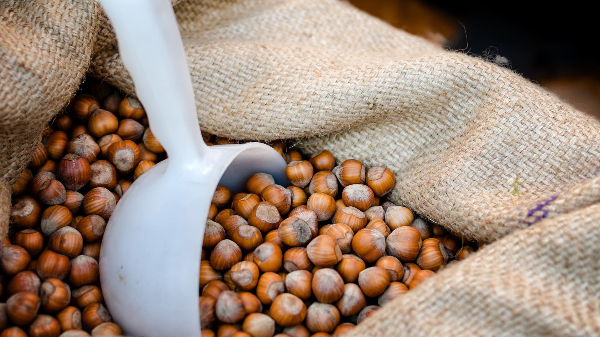 Nocciola del Piemonte