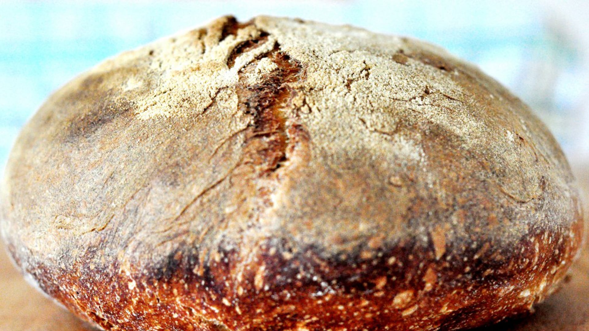 Pane casareccio di Genzano