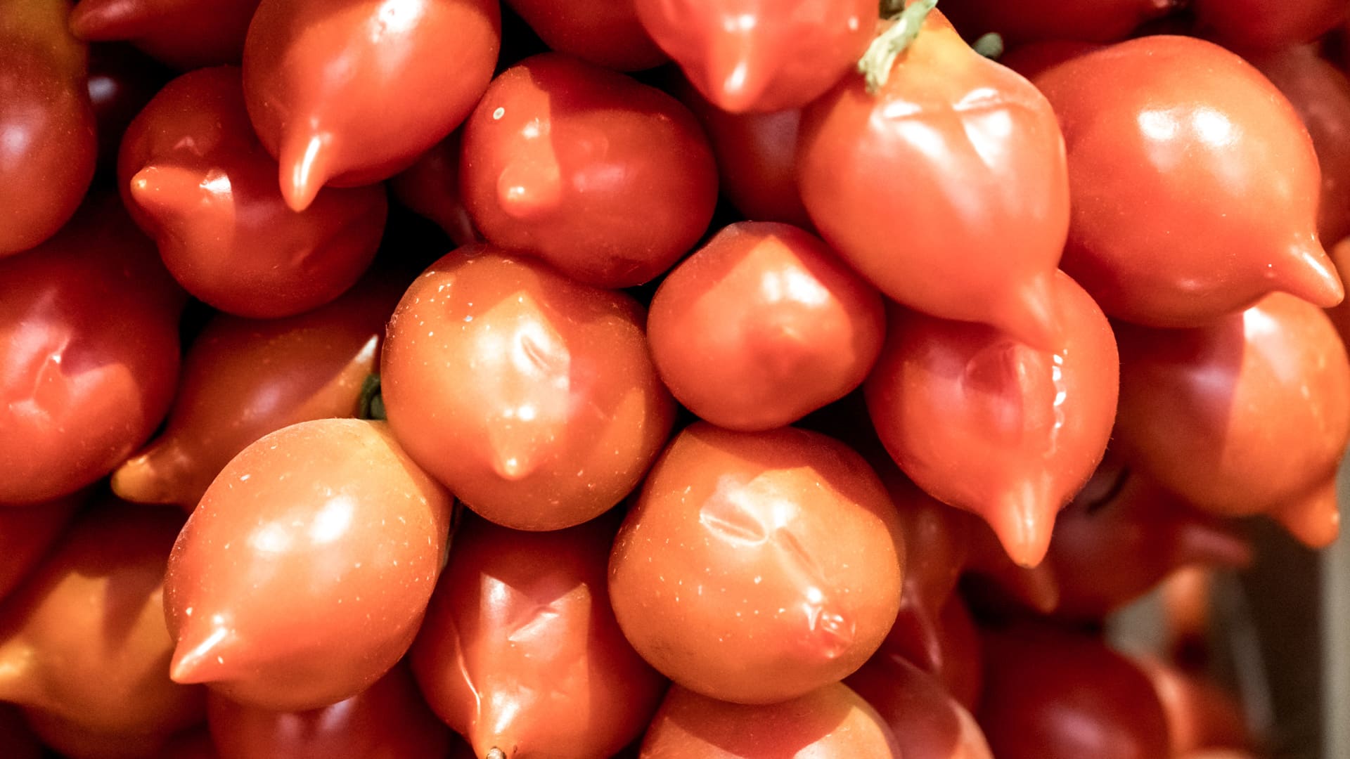 Pomodorino del Piennolo del Vesuvio